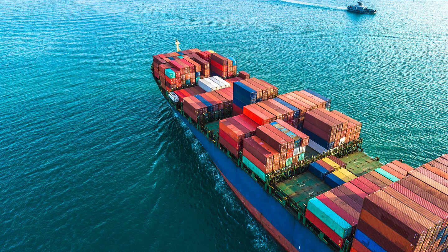 A cargo vessel crosses the Suez Canal in Egypt, shortly after Yemen-based militants started attacking ships in the Red Sea along the crucial Asia-Europe trade route.