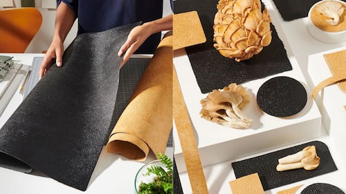 Why Mushroom Leather (and Other New Materials) Are Struggling to Scale