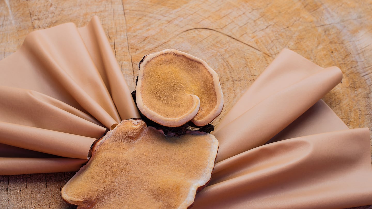 Mushrooms and leather sit on a wooden table.